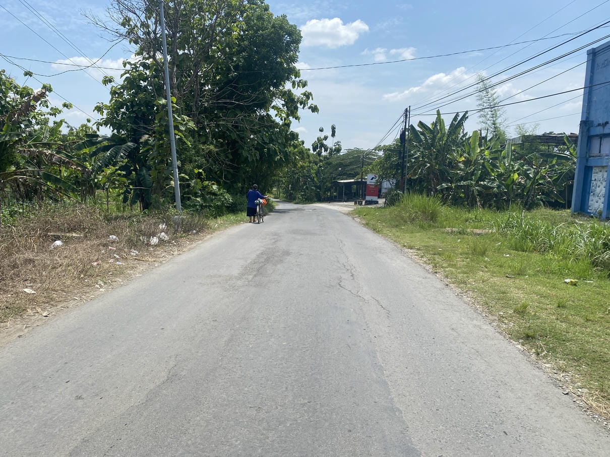 Sewa Aset Lahan Turirejo - Foto 2